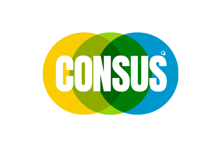 Consus Enerji